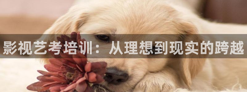 九七电影院97网电视剧