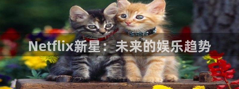九七电影院中文：Netflix新星：未来的娱乐趋势