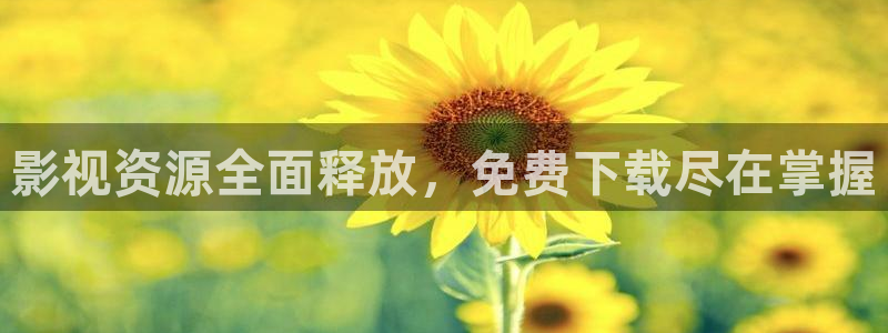 九七手机电影