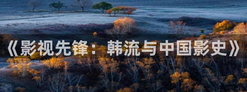 九七vip影院：《影视先锋：韩流与中国影史》
