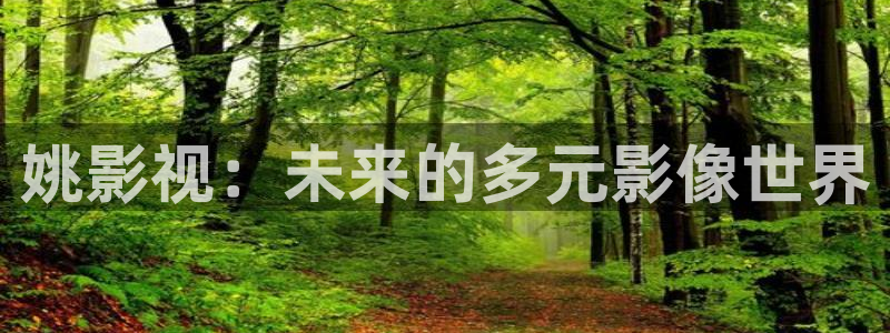 九七午夜影院：姚影视：未来的多元影像世界