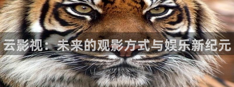 九七电影免费